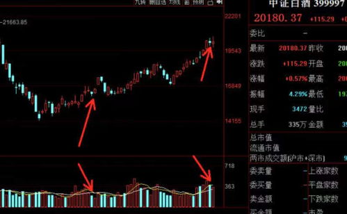 如何加入股票实战