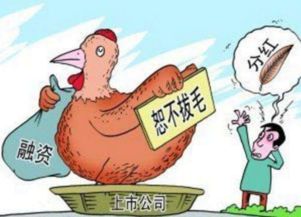 如何吃股票红利