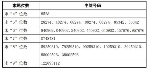 股票如何知道中签