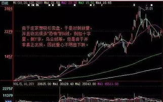 如何成为股票投资人
