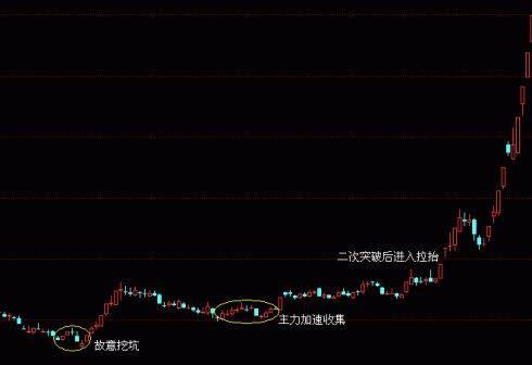 如何锁定黑马股票