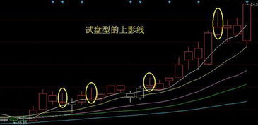 如何发挥股票作用 如何发挥股票作用