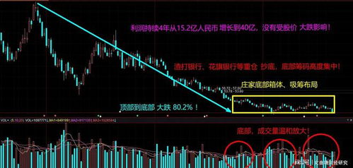 股票如何挑选龙头股票呢 股票如何挑选龙头股票呢