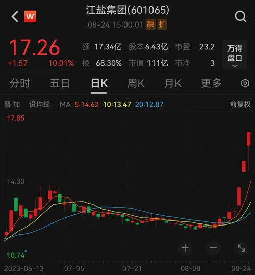 中盐股票如何