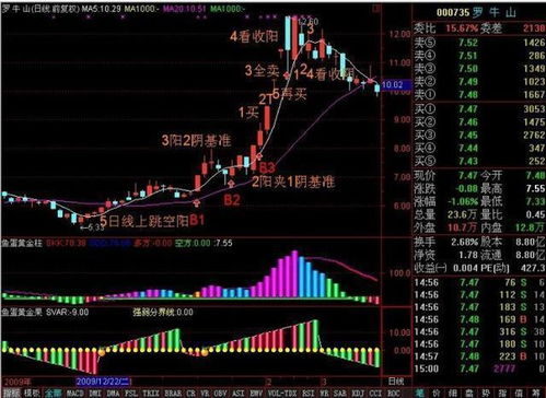 股票如何买大盘股票赚钱