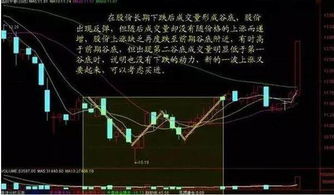 如何选股机构股票价格