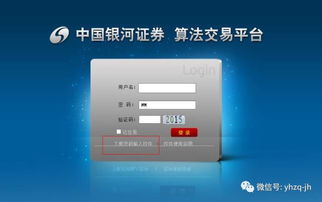 证券怎么玩视频