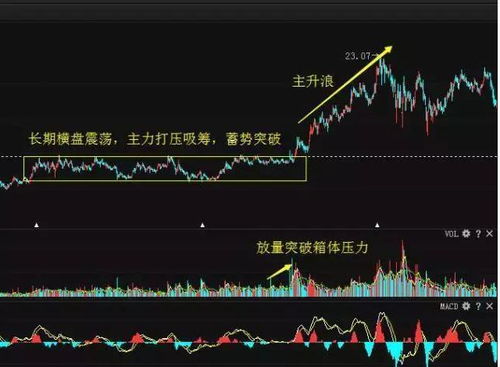 如何用10万本金换股票
