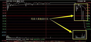 如何设置股票异动显示