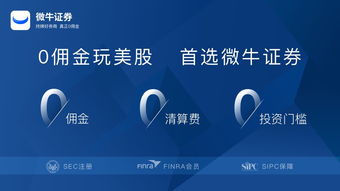 证券模拟怎么没了