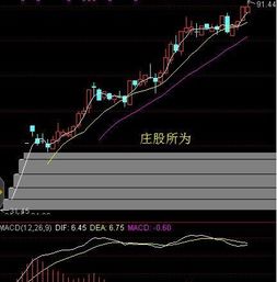 如何查不同股价的股票