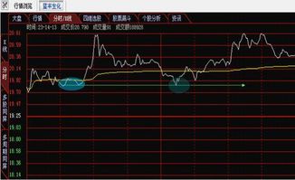 如何找分时图均线上股票