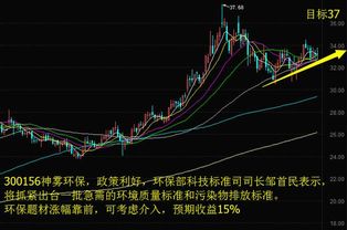 股票如何推保护