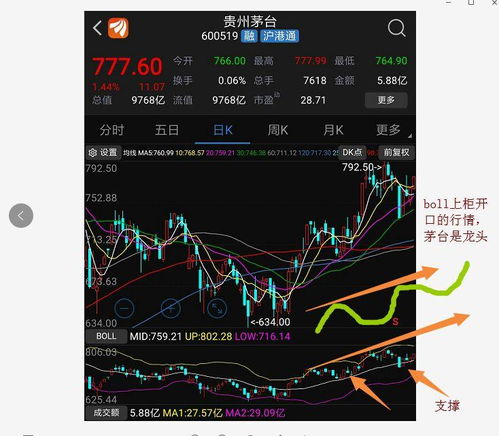 如何看待天价茅台股票