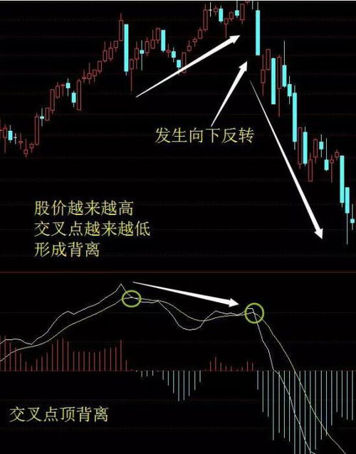 股市开盘后如何操作股票