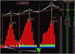 如何抓住一只共性的股票