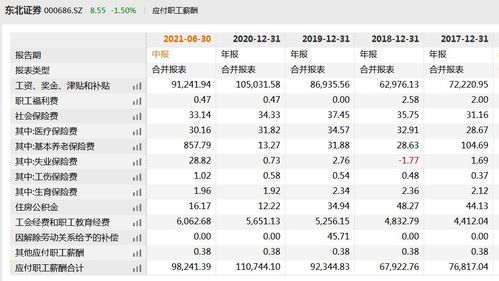 东北证券的待遇怎么样