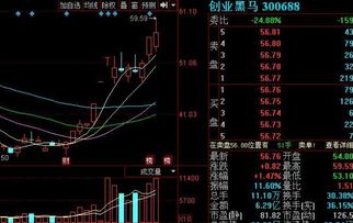 如何投资黑马股票