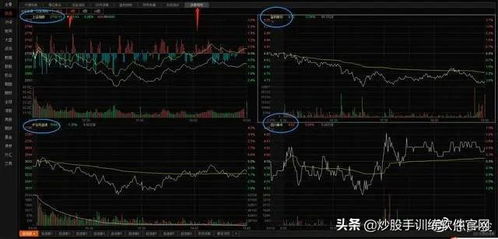 大头如何做空一支股票