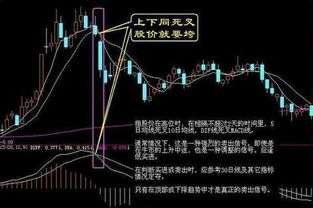 曹仁超以及如何筛选股票