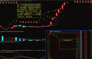 如何找底部涨停板股票