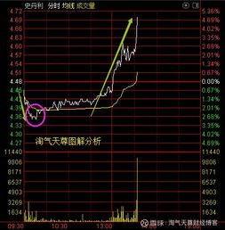 史丹利股票如何