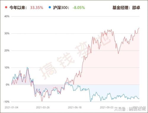 基金股票如何 基金股票如何