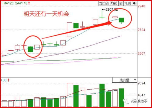 如何维护股票池