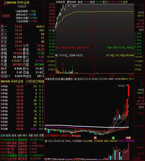 华林证券怎么看集合竞价