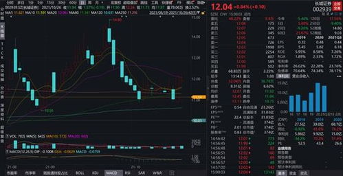 用长城证券交易股票如何