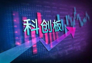 怎么查银河证券新股