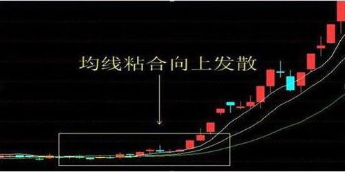 股票如何跟庄 股票如何跟庄