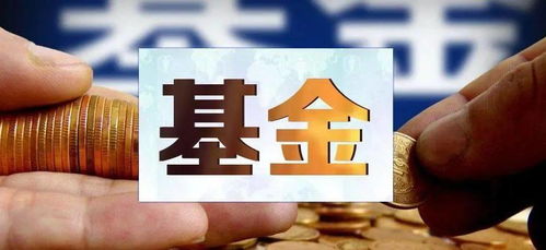 实战中如何选股票和基金