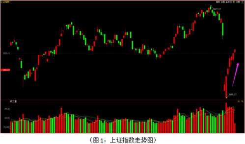 如何保护股票主力
