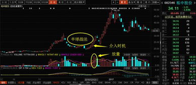 如何抓住牛股票