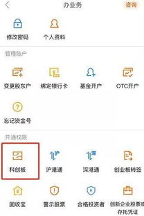证券资产证明怎么打
