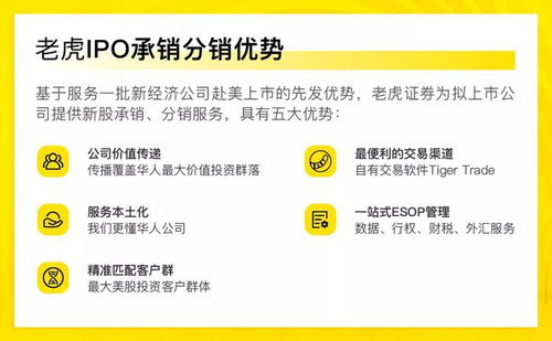 证券资产证明怎么打