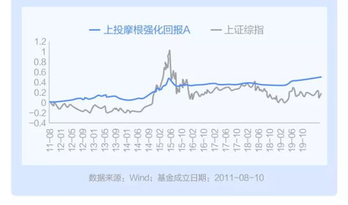 如何管理股票收益