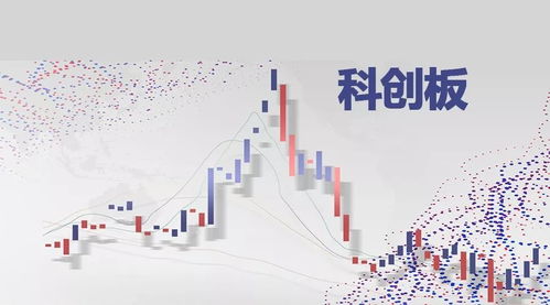 股票如何参与科创板交易