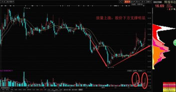 如何做好国内股票交易所