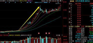 如何挖掘股票龙头股份 如何挖掘股票龙头股份