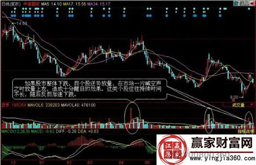 如何看一个股票的好坏