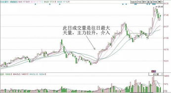 如何保持股票价格不变