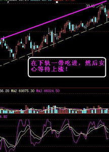 女生如何做股票交易员
