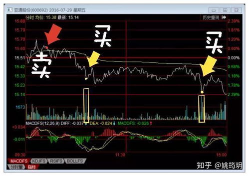 股票每天下跌如何做T