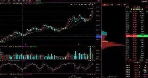 如何了解一只股票的筹码