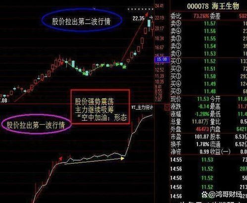 如何骗散户买入股票视频