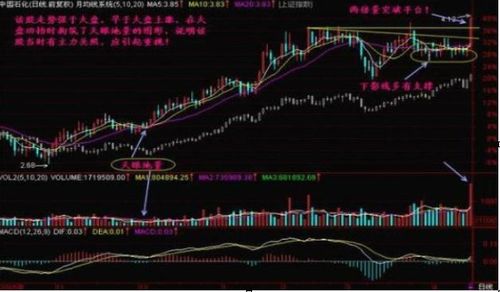 如何看待一只股票跌涨