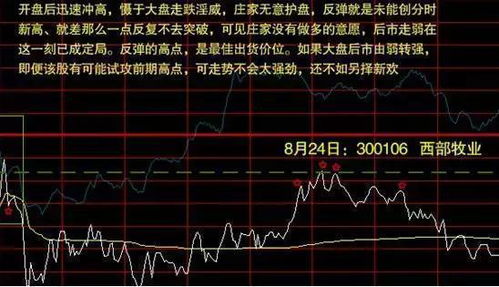 股票如何学好