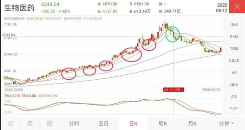 怎么找证券指数